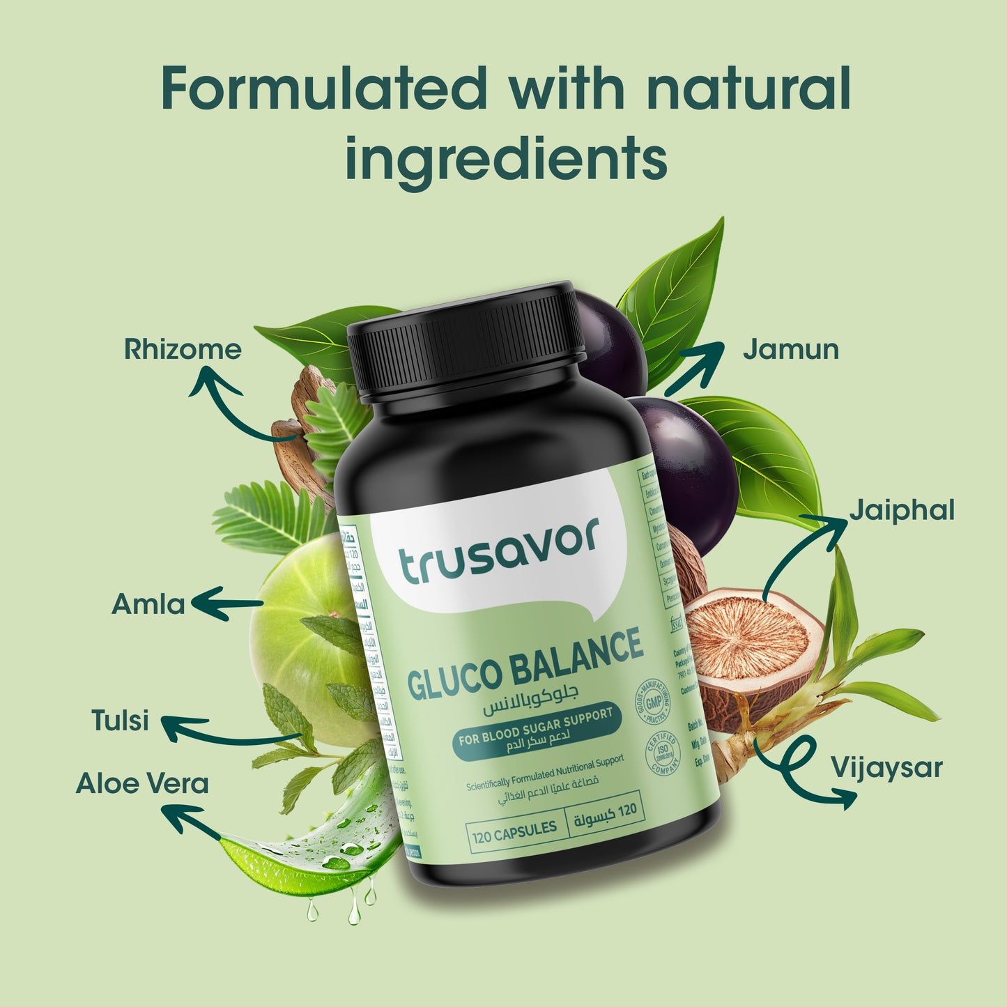 Trusavor Gluco Balance – Blood Sugar Support | 120 Natural Capsules with Amla, Jamun, Aloe Vera, Tulsi & More