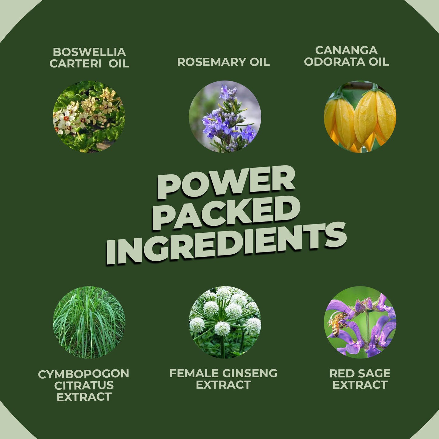 Trusavor Rosemary Hair Growth Oil, Natural Scalp Treatment, 60ml/2.03fl.oz, Australian Made, With Essential Oils